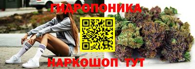 прущие грибы Беслан